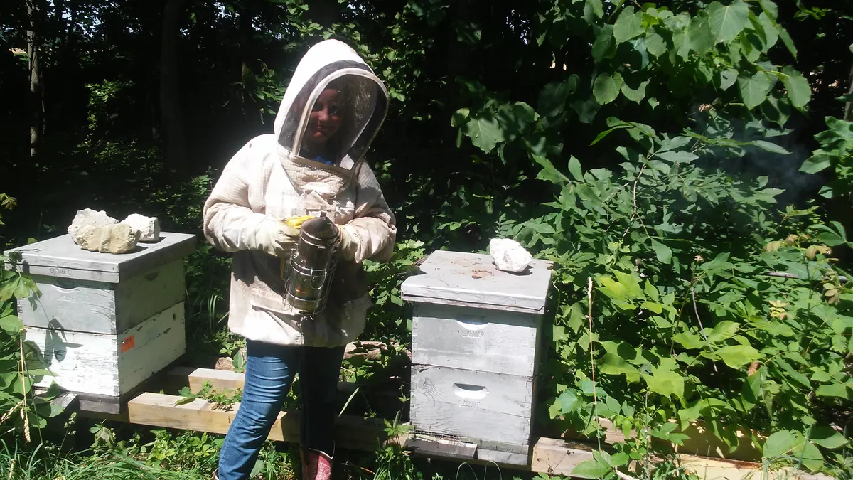A young beekeeper in a full veil holding a smoker beside hive boxes in a wooded apiary