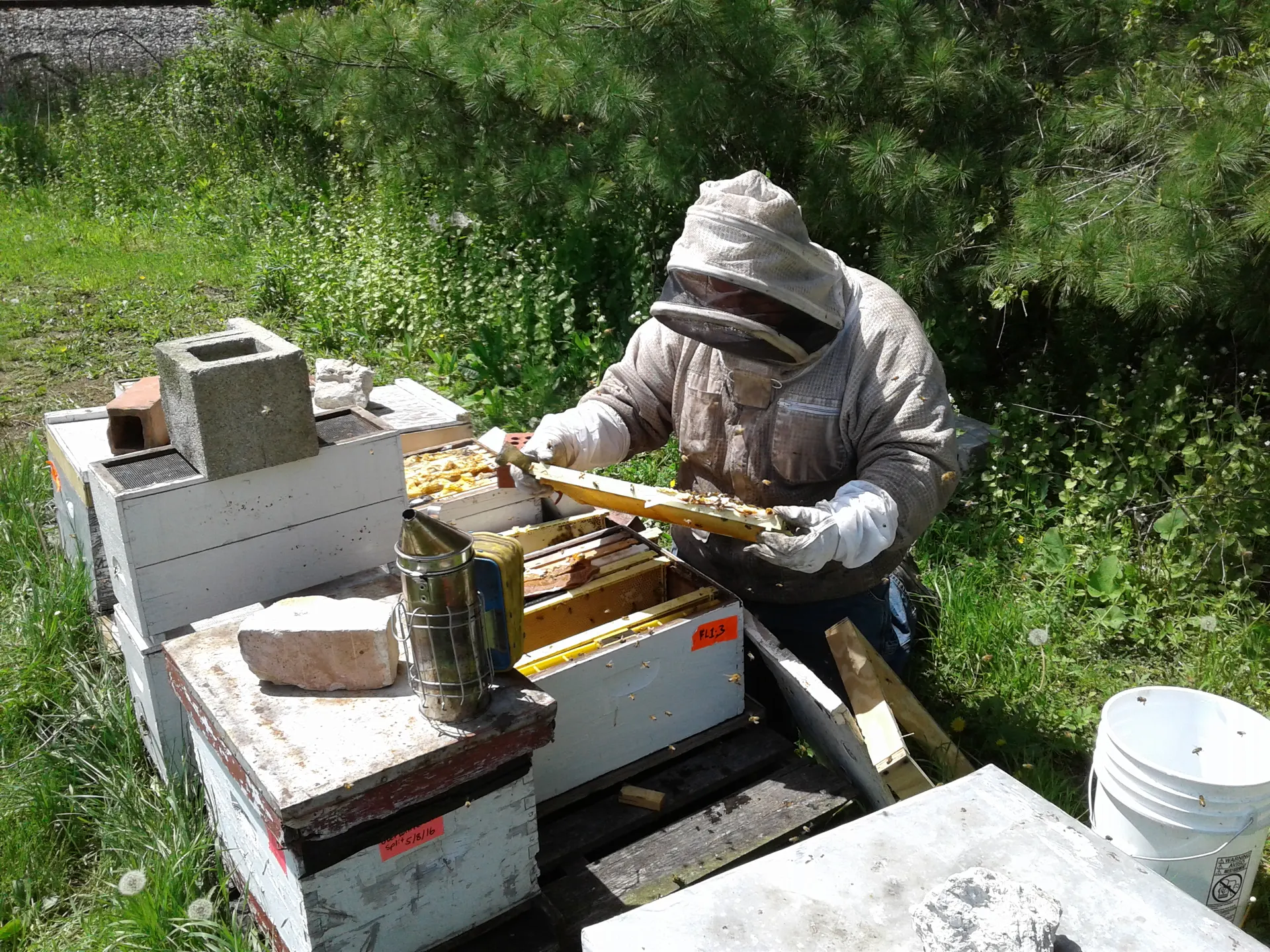 A beekeeper in a full veil suit lifts a frame of bees from an open hive box at the edge of a field near railroad tracks